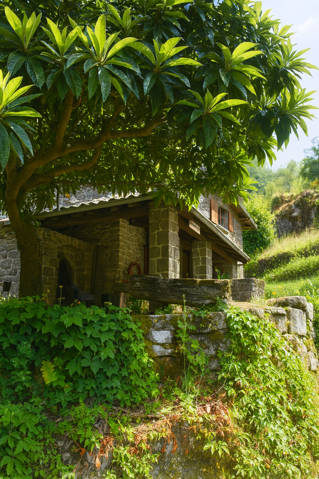 ChatGPT Image 4 set 2025, 14_55_30